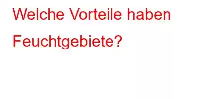 Welche Vorteile haben Feuchtgebiete