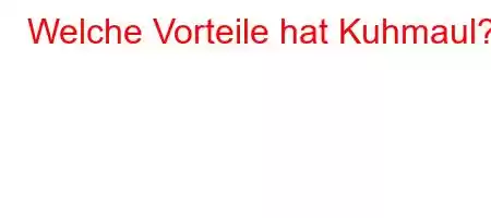 Welche Vorteile hat Kuhmaul?