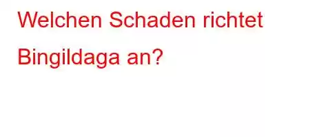 Welchen Schaden richtet Bingildaga an?