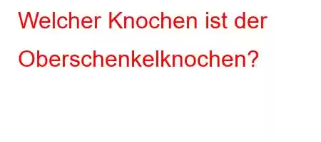 Welcher Knochen ist der Oberschenkelknochen?