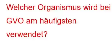 Welcher Organismus wird bei GVO am häufigsten verwendet