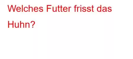 Welches Futter frisst das Huhn?