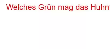 Welches Grün mag das Huhn