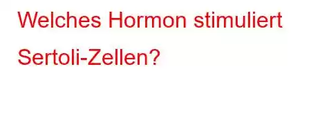 Welches Hormon stimuliert Sertoli-Zellen?