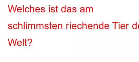 Welches ist das am schlimmsten riechende Tier der Welt?