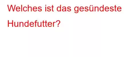 Welches ist das gesündeste Hundefutter?