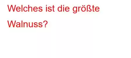 Welches ist die größte Walnuss