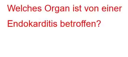 Welches Organ ist von einer Endokarditis betroffen