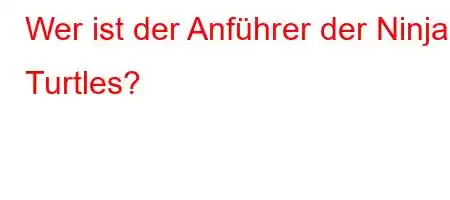 Wer ist der Anführer der Ninja Turtles?