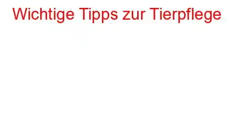 Wichtige Tipps zur Tierpflege