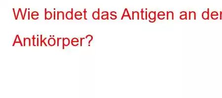 Wie bindet das Antigen an den Antikörper