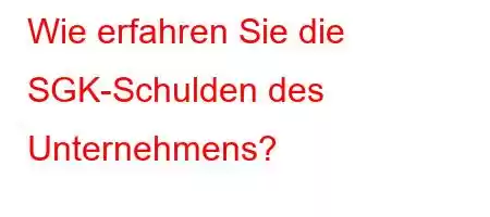 Wie erfahren Sie die SGK-Schulden des Unternehmens