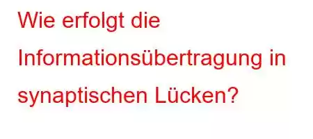 Wie erfolgt die Informationsübertragung in synaptischen Lücken?