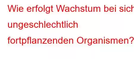 Wie erfolgt Wachstum bei sich ungeschlechtlich fortpflanzenden Organismen?