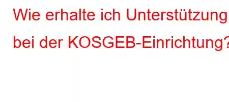 Wie erhalte ich Unterstützung bei der KOSGEB-Einrichtung?