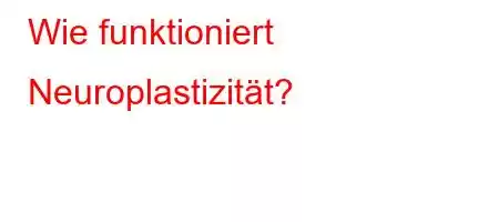 Wie funktioniert Neuroplastizität?