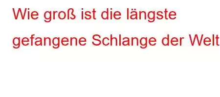 Wie groß ist die längste gefangene Schlange der Welt?