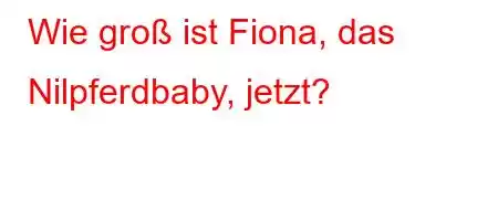 Wie groß ist Fiona, das Nilpferdbaby, jetzt