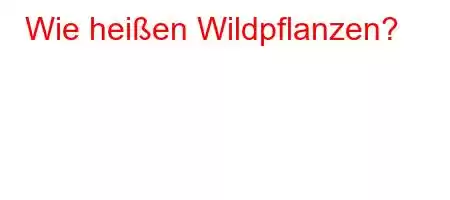 Wie heißen Wildpflanzen?