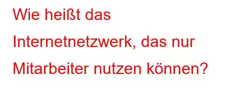 Wie heißt das Internetnetzwerk, das nur Mitarbeiter nutzen können?