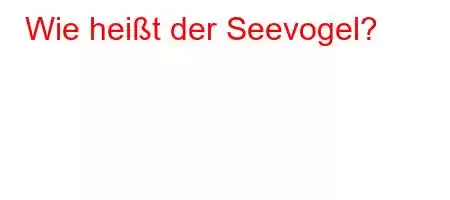 Wie heißt der Seevogel