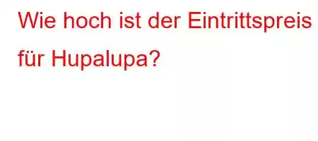 Wie hoch ist der Eintrittspreis für Hupalupa?