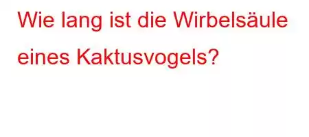 Wie lang ist die Wirbelsäule eines Kaktusvogels?