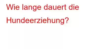 Wie lange dauert die Hundeerziehung