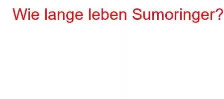 Wie lange leben Sumoringer