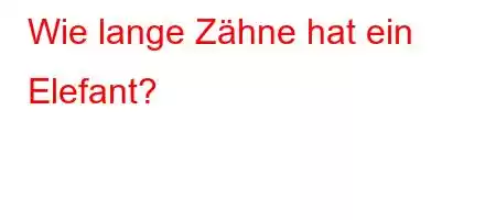 Wie lange Zähne hat ein Elefant