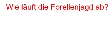 Wie läuft die Forellenjagd ab?