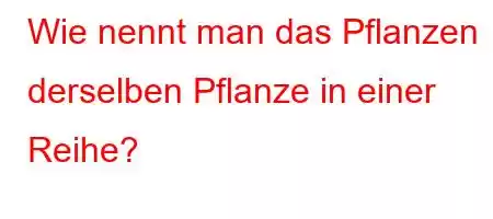 Wie nennt man das Pflanzen derselben Pflanze in einer Reihe