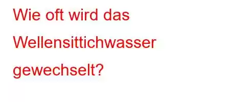 Wie oft wird das Wellensittichwasser gewechselt