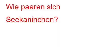 Wie paaren sich Seekaninchen?