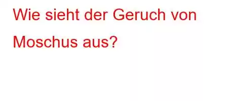 Wie sieht der Geruch von Moschus aus?