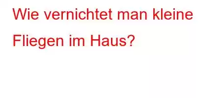 Wie vernichtet man kleine Fliegen im Haus