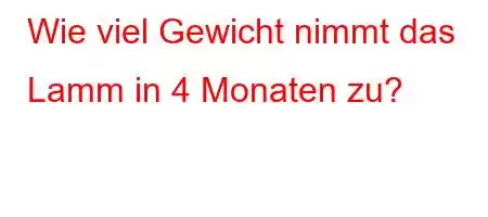 Wie viel Gewicht nimmt das Lamm in 4 Monaten zu