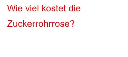 Wie viel kostet die Zuckerrohrrose?