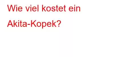 Wie viel kostet ein Akita-Kopek?