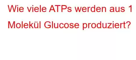 Wie viele ATPs werden aus 1 Molekül Glucose produziert?