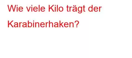 Wie viele Kilo trägt der Karabinerhaken?