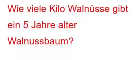 Wie viele Kilo Walnüsse gibt ein 5 Jahre alter Walnussbaum