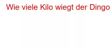 Wie viele Kilo wiegt der Dingo?