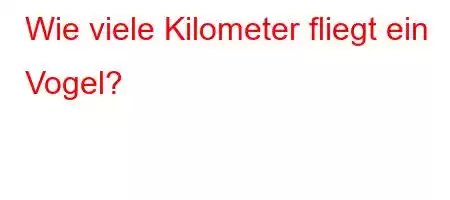 Wie viele Kilometer fliegt ein Vogel?