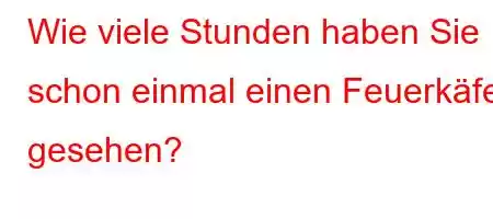 Wie viele Stunden haben Sie schon einmal einen Feuerkäfer gesehen?