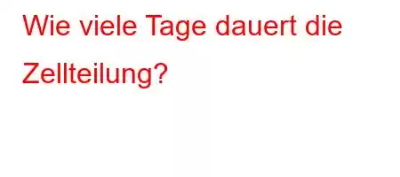 Wie viele Tage dauert die Zellteilung?