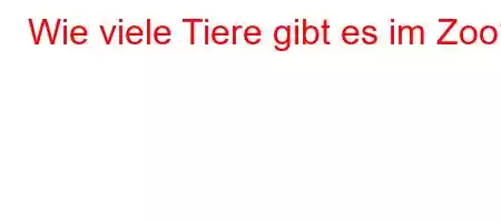 Wie viele Tiere gibt es im Zoo?