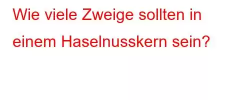 Wie viele Zweige sollten in einem Haselnusskern sein?