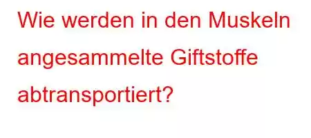 Wie werden in den Muskeln angesammelte Giftstoffe abtransportiert