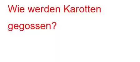 Wie werden Karotten gegossen?